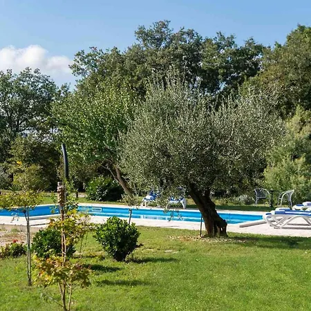 Apartman Petra 3